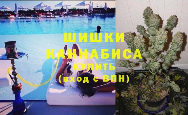прущие грибы Лиски