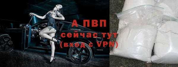 прущие грибы Лиски