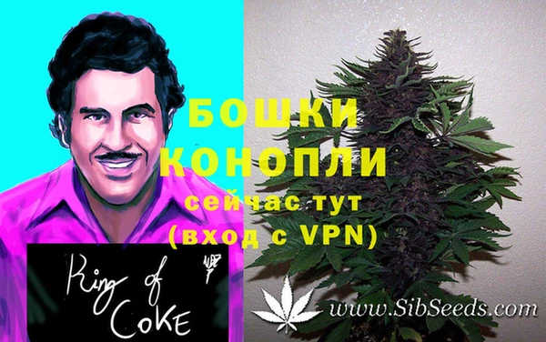 прущие грибы Лиски